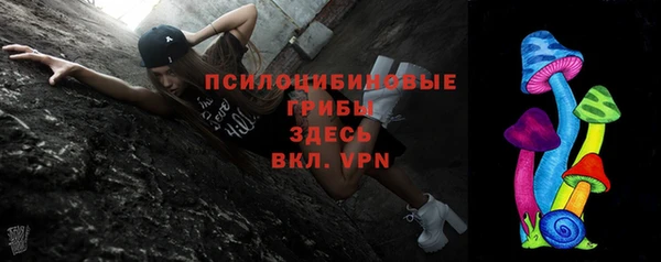 крисы Алексин