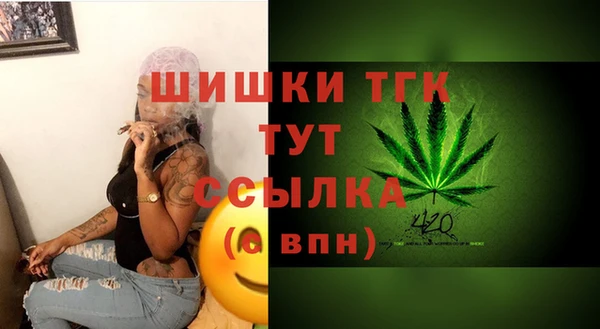 тгк Абаза