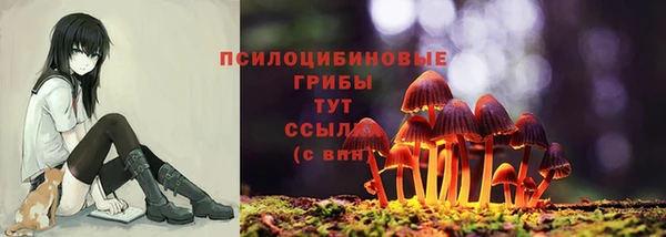 тгк Абаза