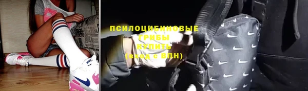ALPHA-PVP Няндома